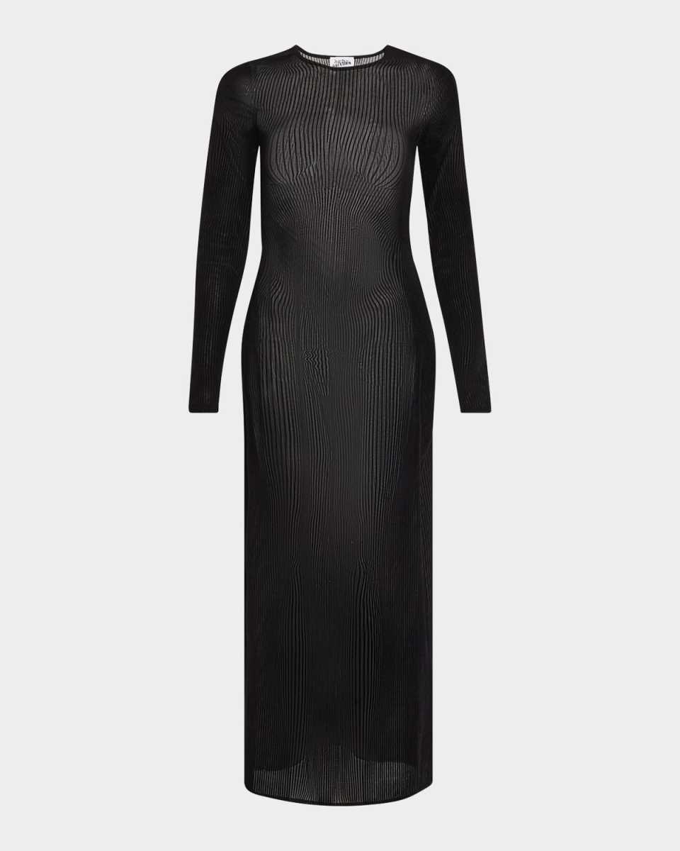 Flocked Morphing Pinstriped Mesh Maxi Dress